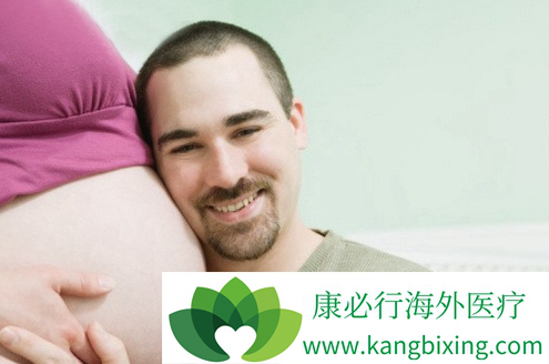 关于单身同志供卵公司